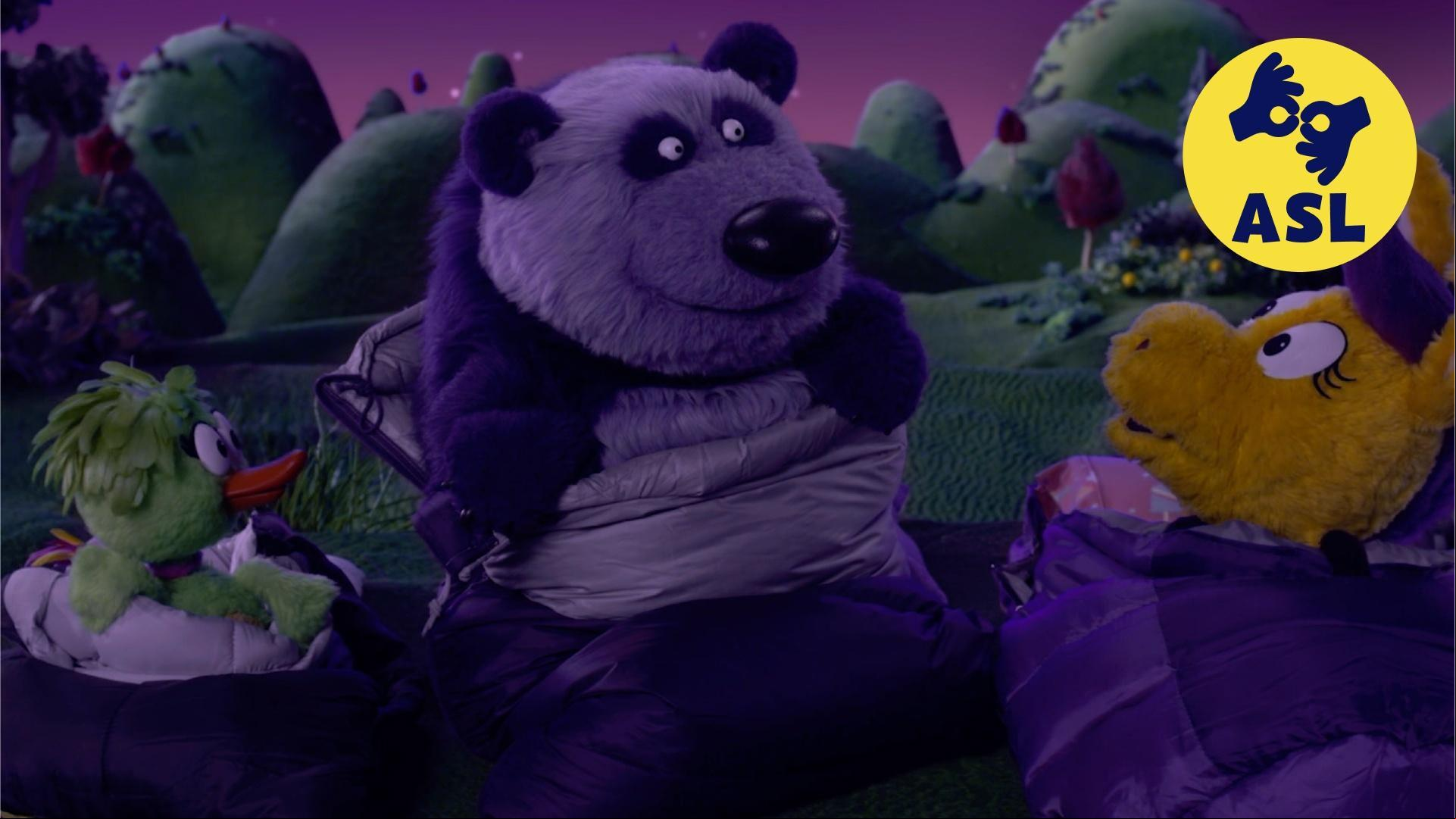 Donkey sleeps outside for the first time./Panda forgets his poetry notebook at Donkey's.