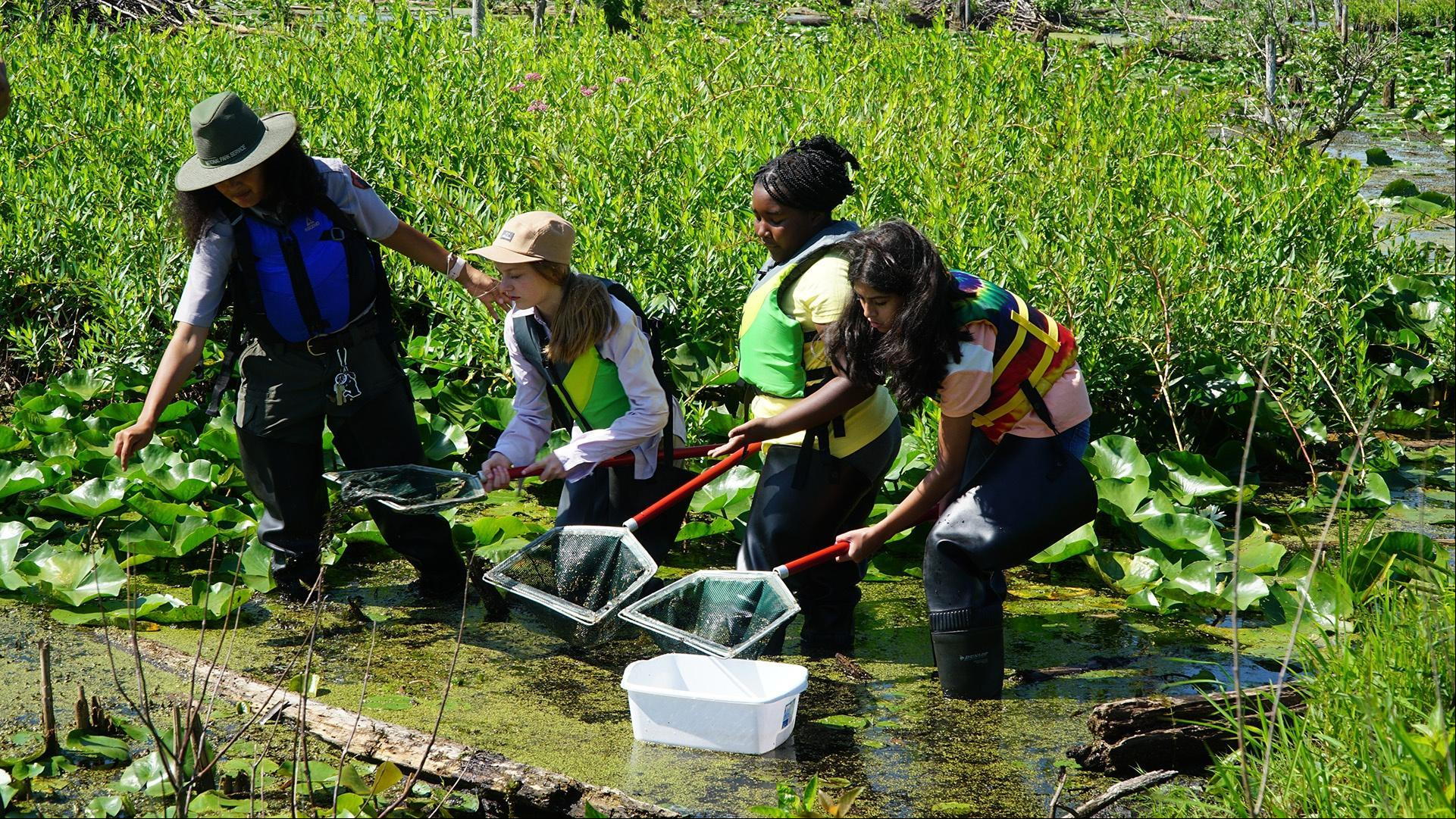 SciGirls on Lake Michigan's sandy shores collect dragonflies to monitor water quality.