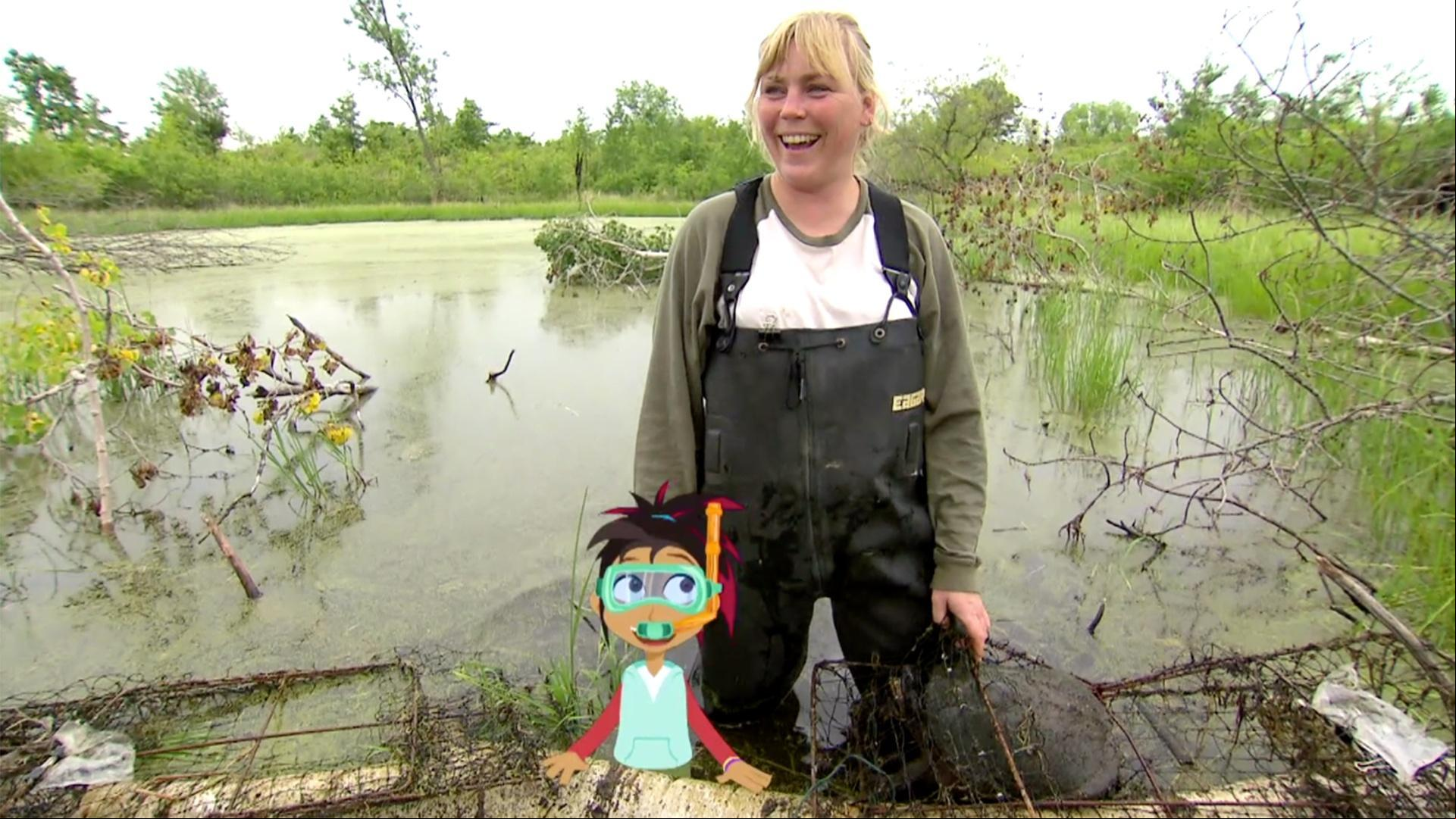Izzie s Annie and her friends to make a local wetland more attractive to turtles.