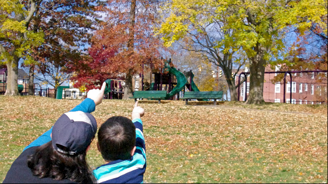 Parent and boy point at trees