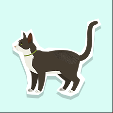 domesticatedcat