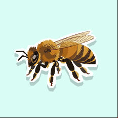 honeybee