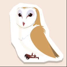 barnowl