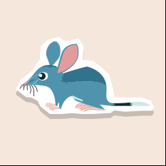 bilby