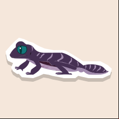 gecko