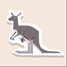 kangaroo