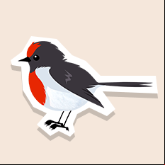 redcappedrobin