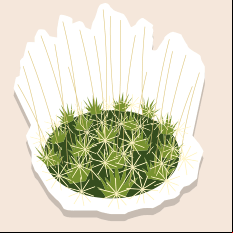 spinifexgrass