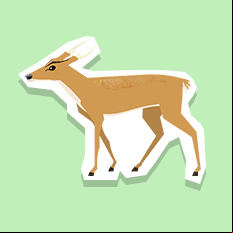 barkingdeer