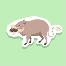 beardedpig
