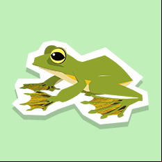 flyingfrog