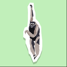 gibbon