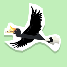 hornbill