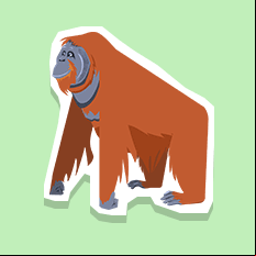 orangutan