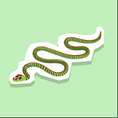 paradisetreesnake