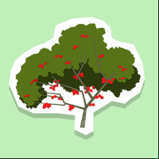 rambutantree
