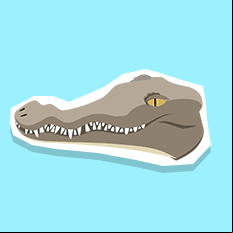 americancrocodile