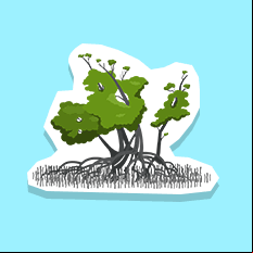 blackmangrove
