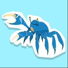 bluecrab