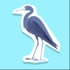 blueheron