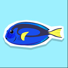 bluetang