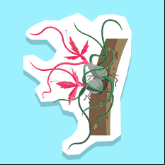 bromeliad