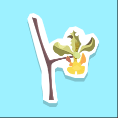 cowhornorchid