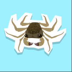 mangrovetreecrab