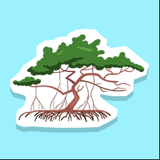 redmangrove