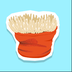 seaanemone