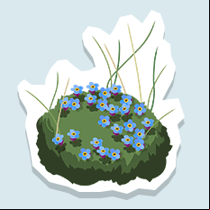 forgetmenot