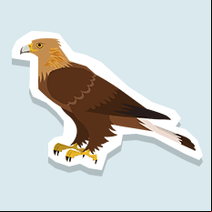 goldeneagle