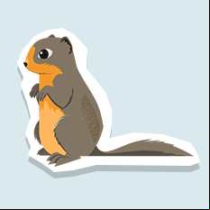 groundsquirrel