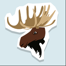 moose