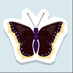 mourningcloak