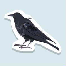 raven