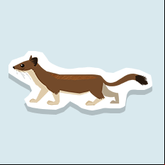 weasel