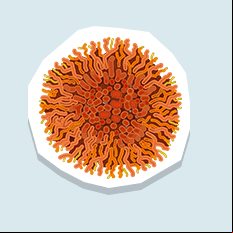 xanthorialichen